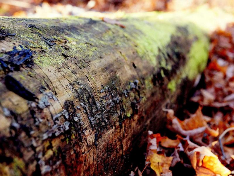sudoku tournament screenshot 6